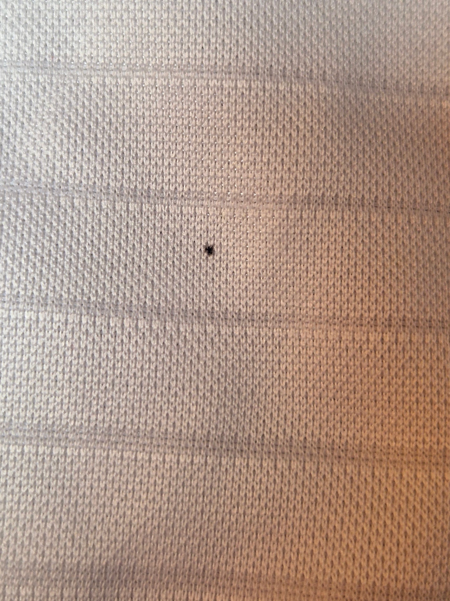 1. FC Köln - Trikot - 2019/2020 - Heim - L