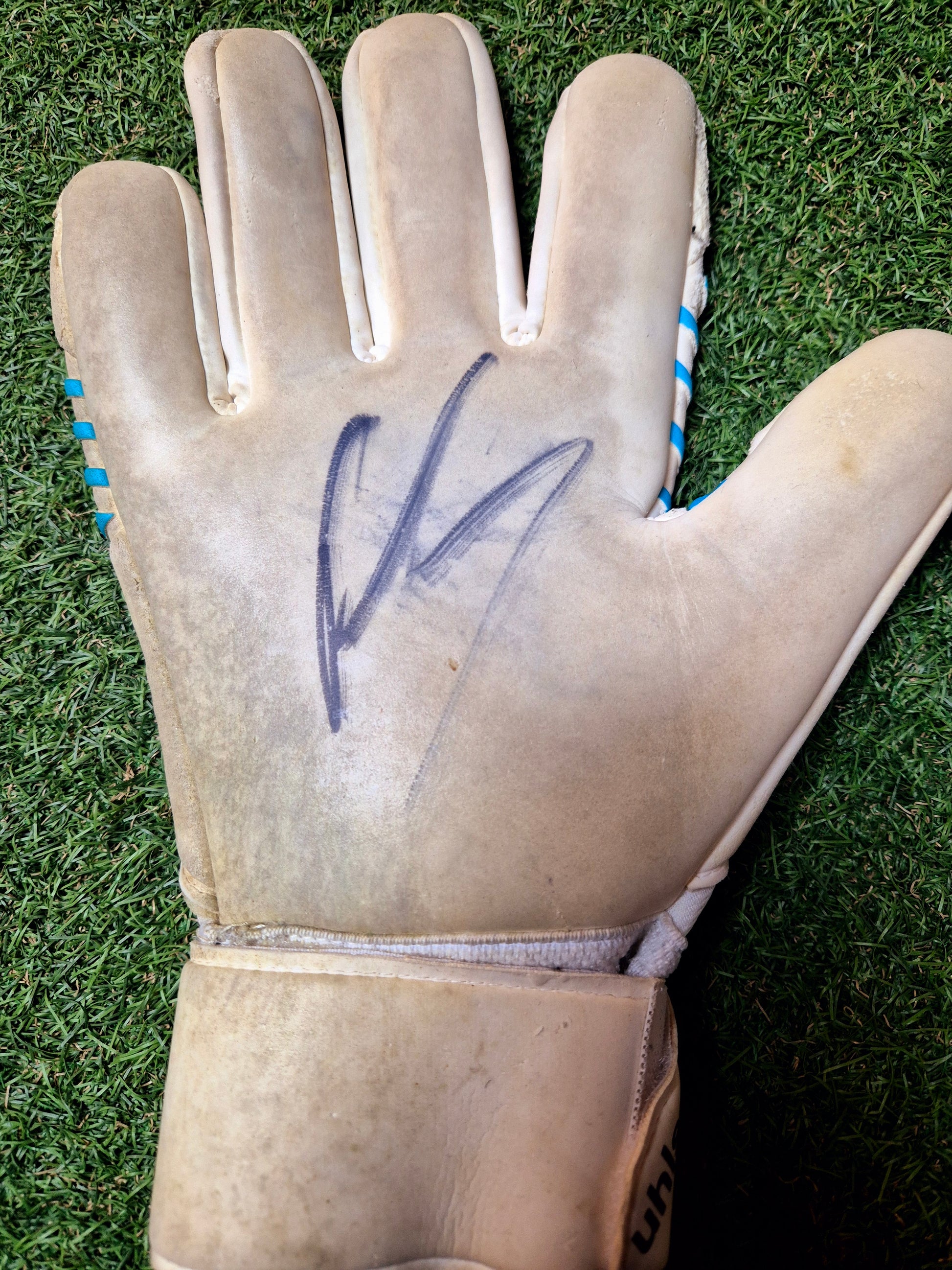 handschuhe union berlin 1. FC Union Berlin - Torwarthandschuhe - Matheo Raab - Unterschrift