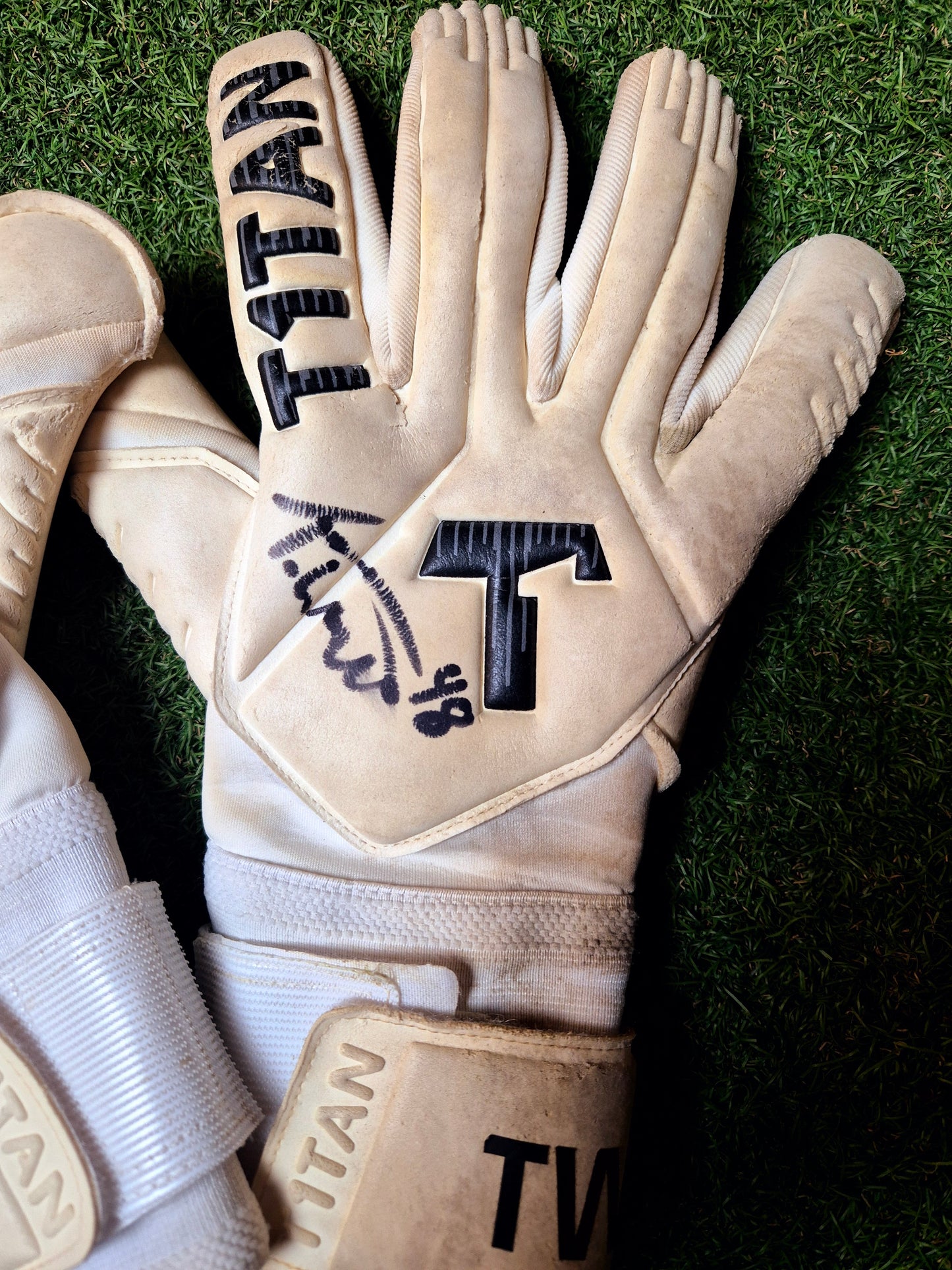 1. FC Union Berlin - Torwarthandschuhe - Tom Wisbereit #1 + #48 - Unterschrift